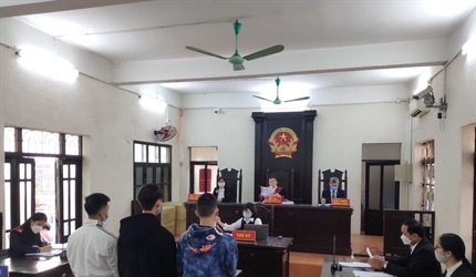 Viện KSND các huyện Thanh Trì, Đông Anh thực hiện sớm chỉ tiêu phiên...